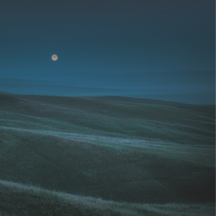 Mindful Aromatique Mist_Meadow Night