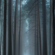 Mindful Aromatique Mist_Hushed Dusk